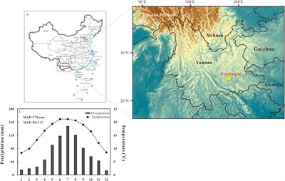 Potential Production of Carbon Gases and Their Responses to Paleoclimate Conditions: An Example From Xiaolongtan Basin, Southeast Tibetan Plateau